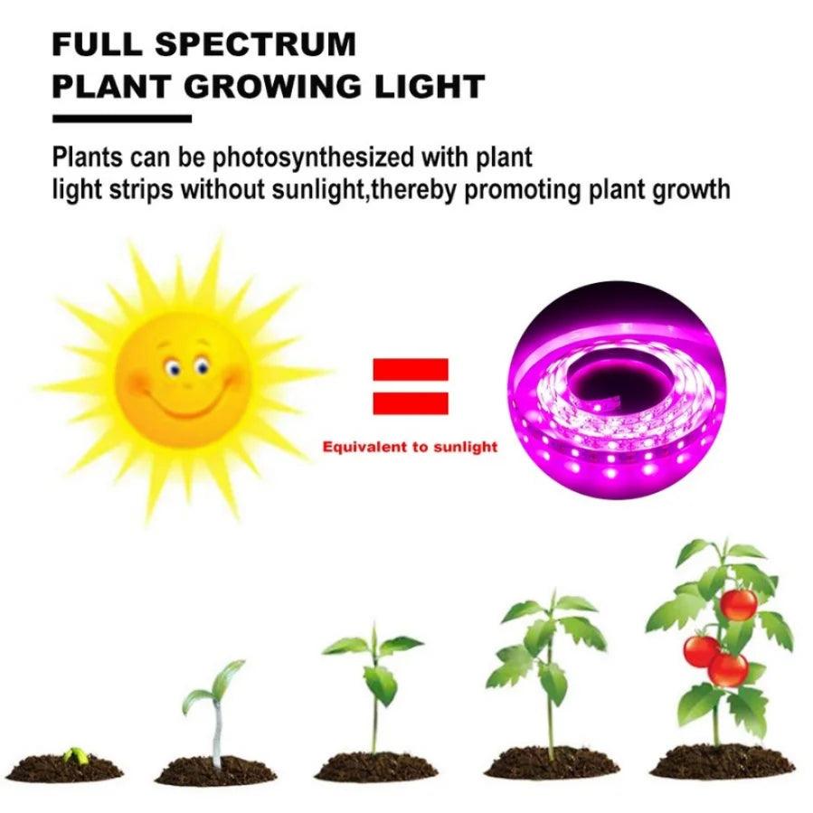 USB-LED-Vollspektrum