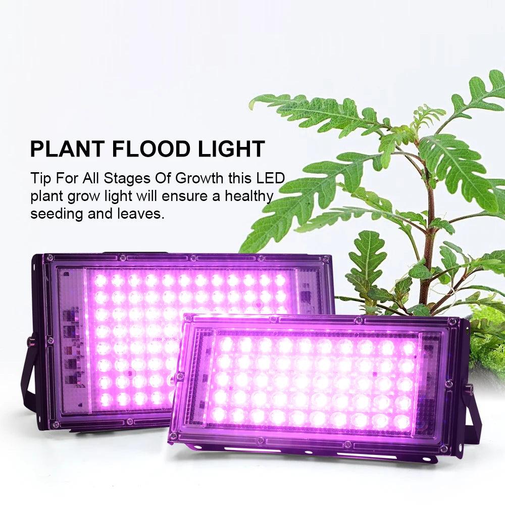 LED-Wachstumslicht Phyto-Lampe