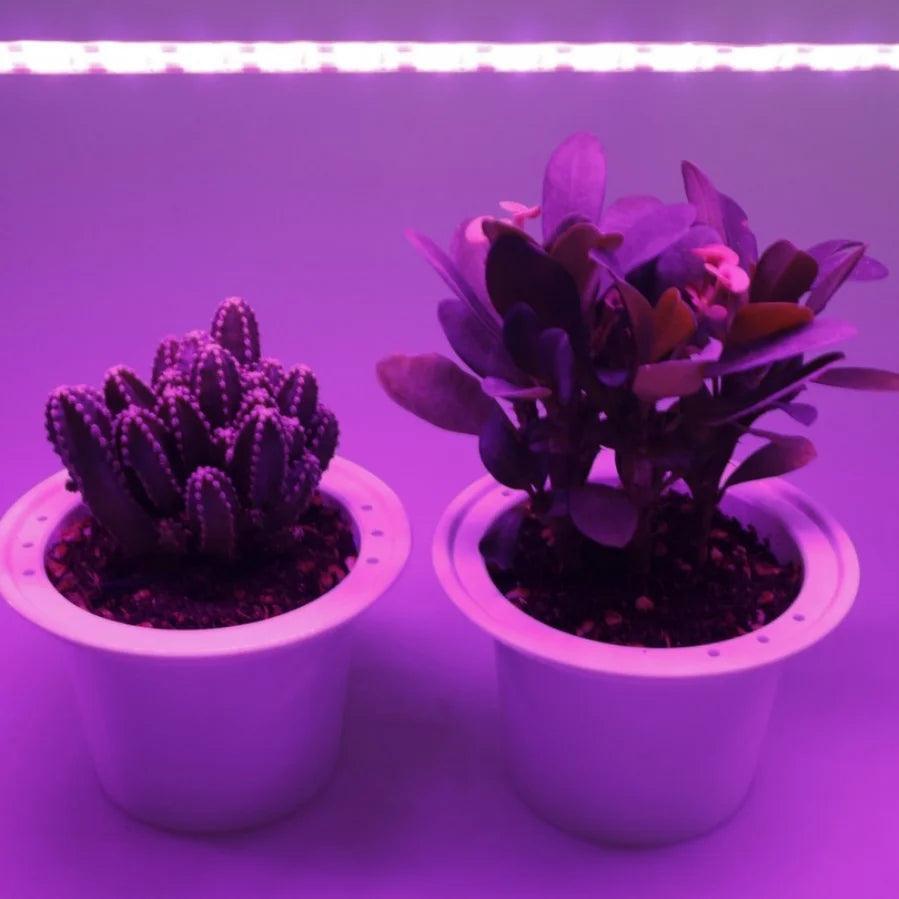 Anlage Licht Wachsen LED Lampe für Gemüse Blume Sämling Wachsen Zelt - ESTEEMSO.COM