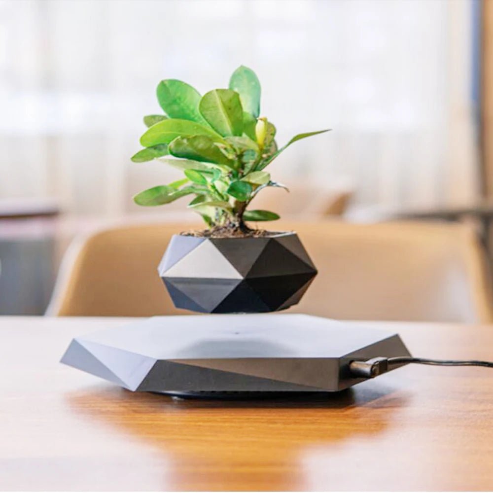 Levitating Air Bonsai Pot Rotation Flower Pot Planters Magnetic Suspension - ESTEEMSO.COM