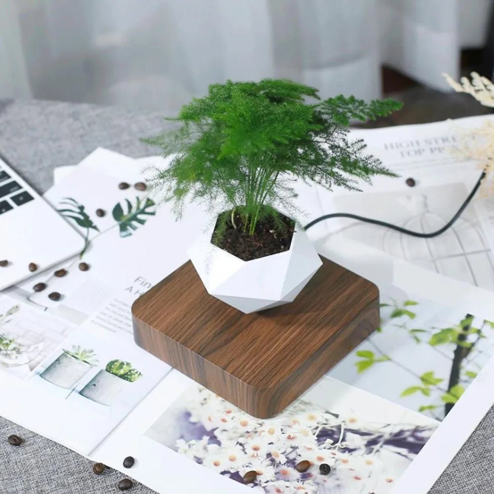 Levitating Air Bonsai Pot Rotation Flower Pot Planters Magnetic Suspension - ESTEEMSO.COM