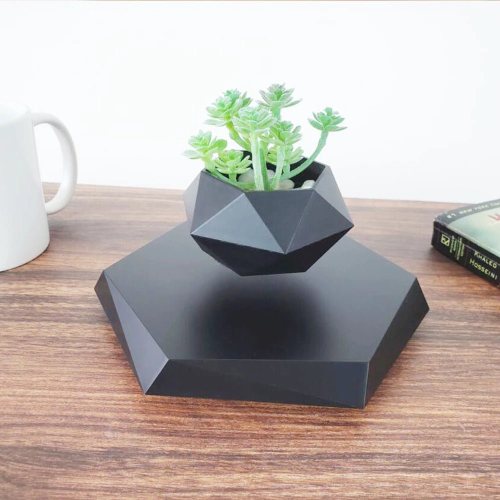 Magnetic Levitating Flower Pot - Modern Air Plant Pot with 360 - ESTEEMSO.COM